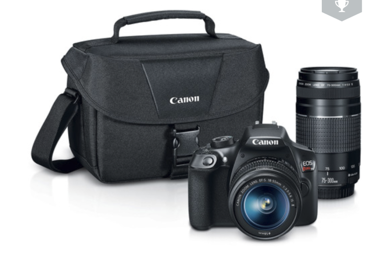 Canon Camera body, black camera bag and 2 lenses